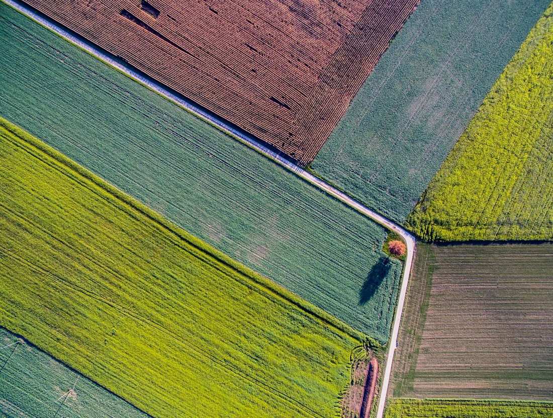 Mosaico aéreo de parcelas agrícolas gestionadas