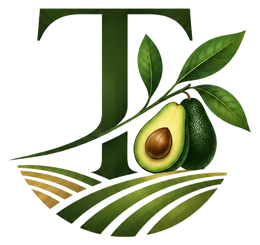 Terra Avocado Capital