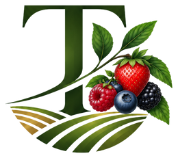 Terra Berries Capital